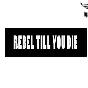 Biker Helmet Sticker