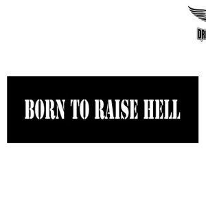 Biker Helmet Sticker