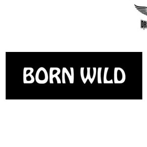 Biker Helmet Sticker