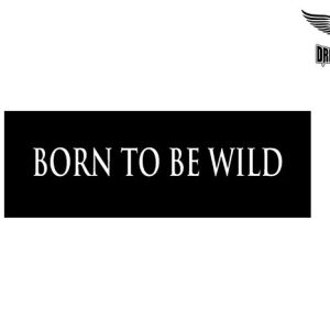 Biker Helmet Sticker