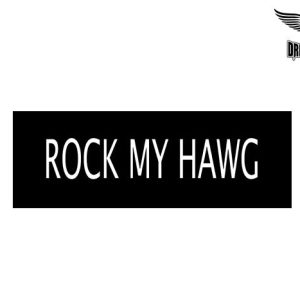 Biker Helmet Sticker