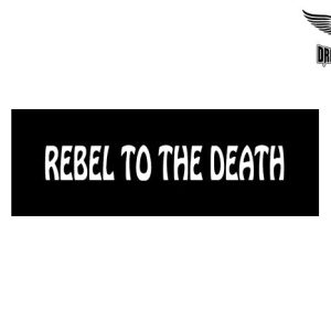 Biker Helmet Sticker