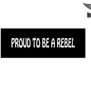 Biker Helmet Sticker