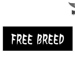 Biker Helmet Sticker