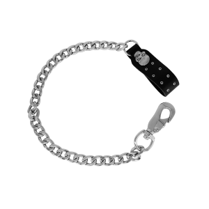 Biker Chain with Skull