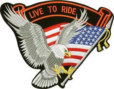Eagle with USA Flag
